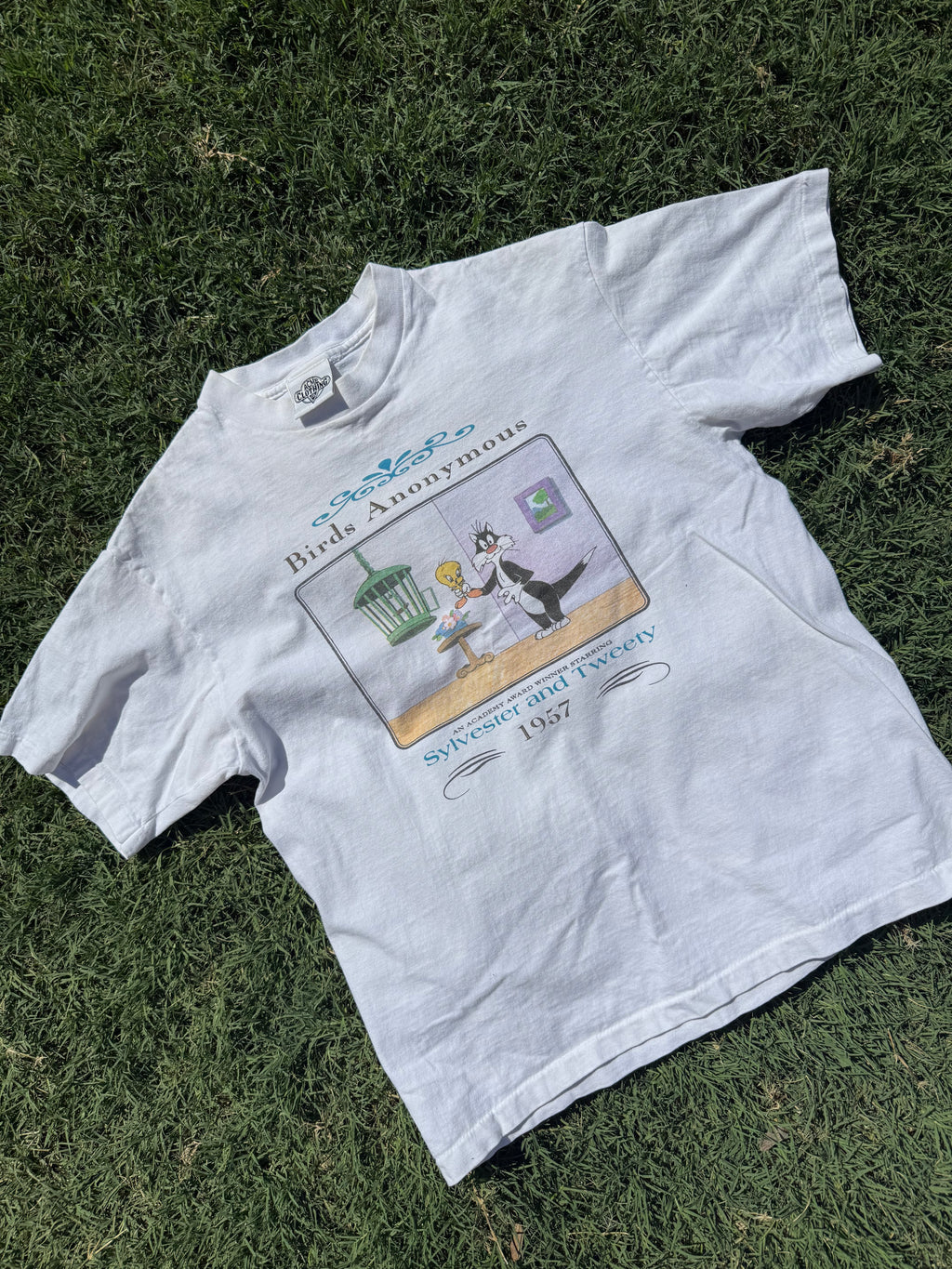Birds Anonymous T-shirt