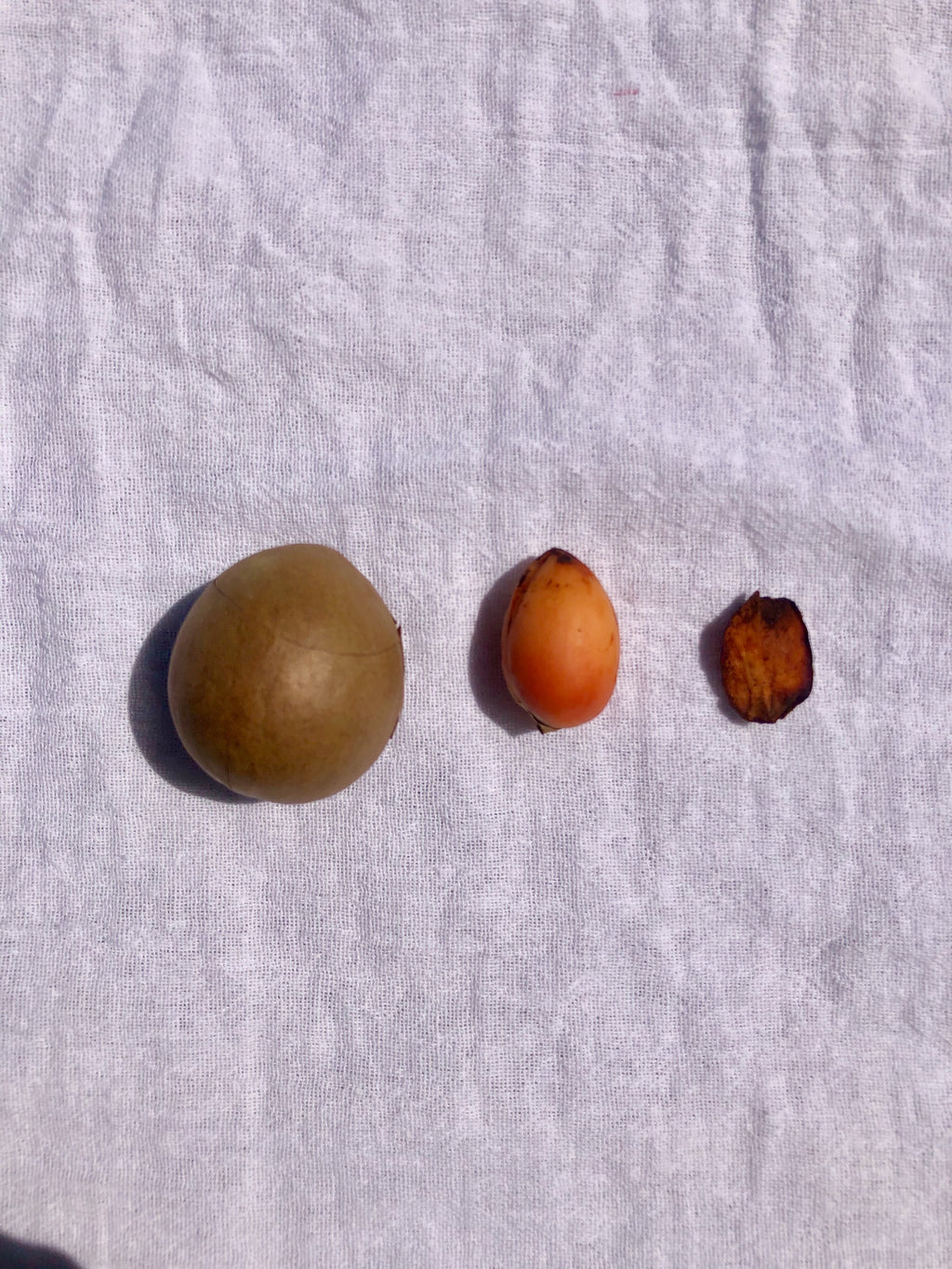 Natural Dyed Tea Towel - Avocado Pits and Skins