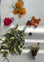 Natural Dye Linen Napkin - Bundle Dye - scabiosa